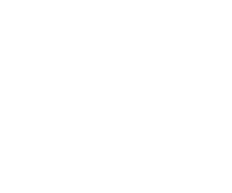 Städtlifest Sargans 2027